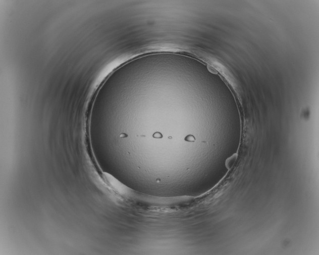 X0000090501187200707201540