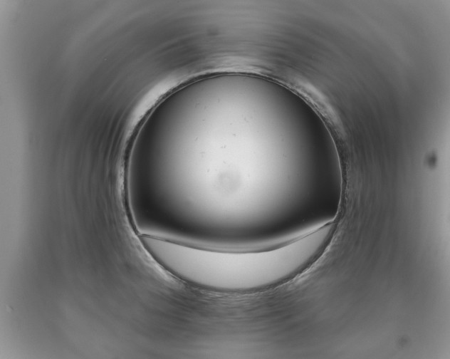 X0000090501188200707201540