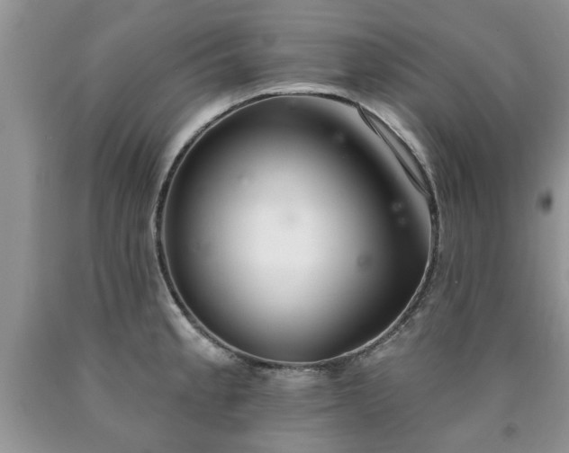 X0000090501189200707201540