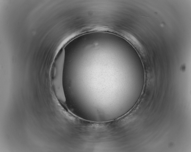 X0000090501190200707201540