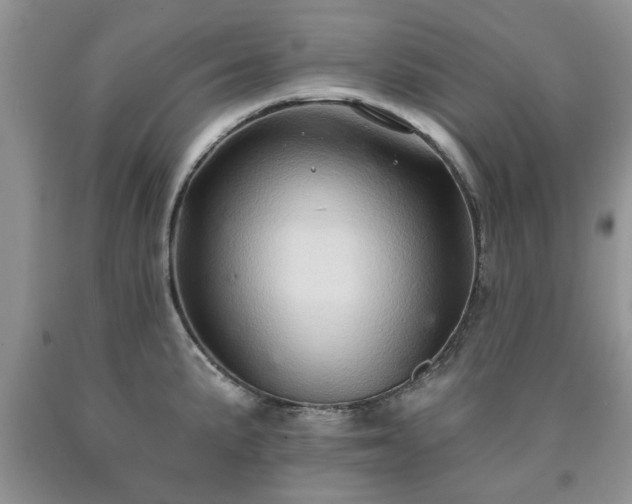 X0000090501191200707201540