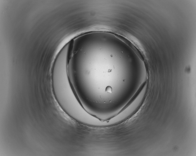 X0000090501192200707201540