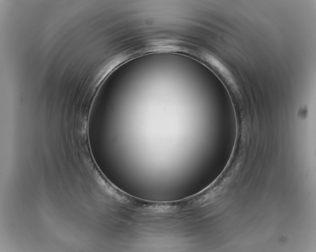 X0000090501193200707201540