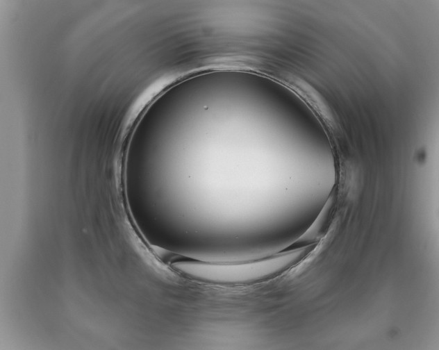 X0000090501196200707201540