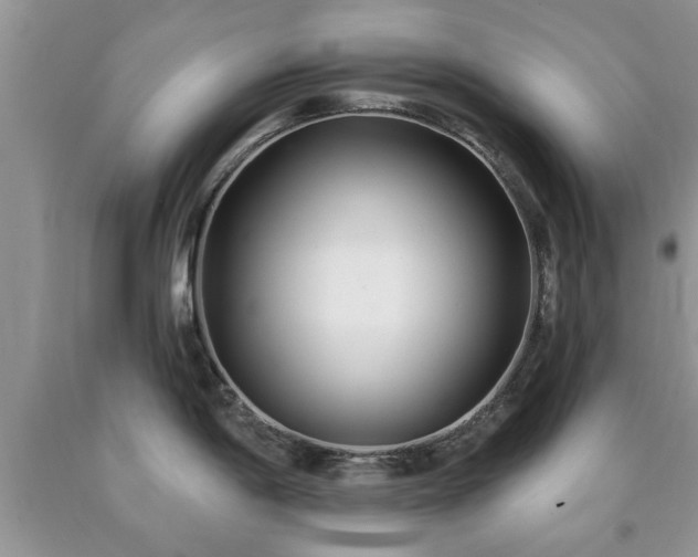 X0000090501198200707201540