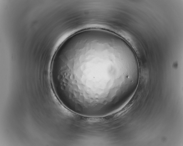 X0000090501199200707201540