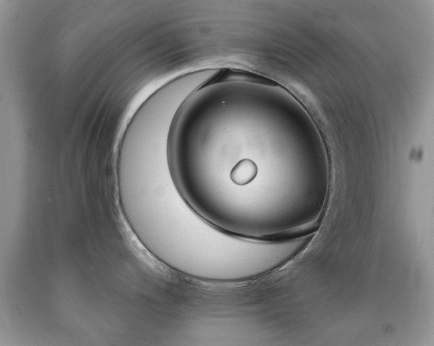 X0000090501200200707201540