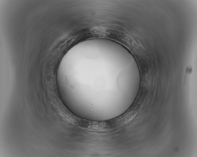 X0000090501201200707201539
