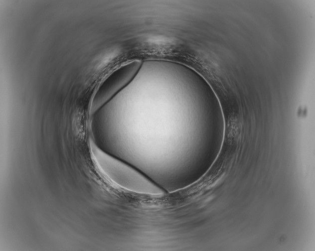 X0000090501202200707201539