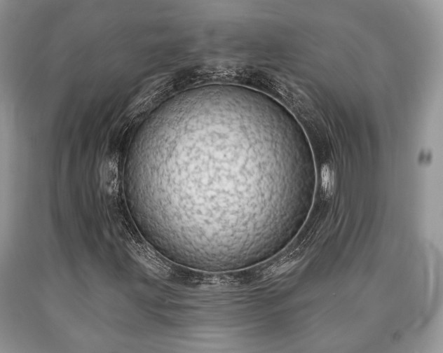 X0000090501203200707201539