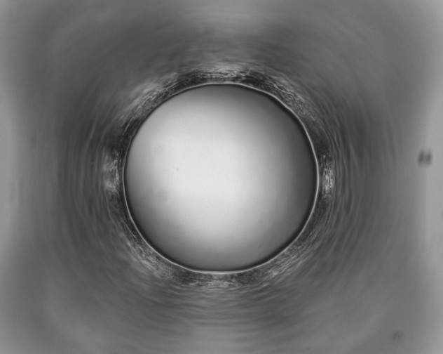 X0000090501204200707201539
