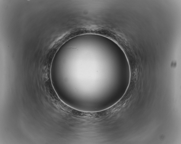 X0000090501205200707201539