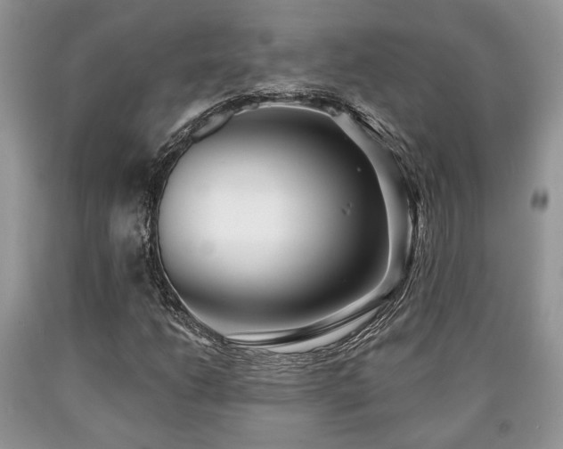 X0000090501206200707201539