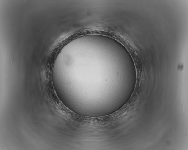 X0000090501207200707201539