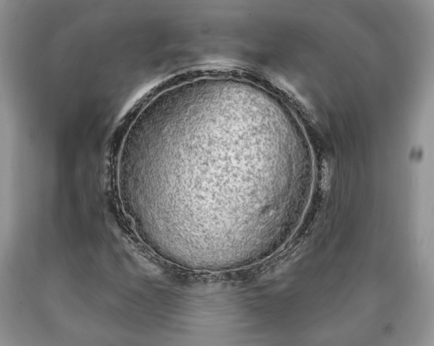 X0000090501208200707201539