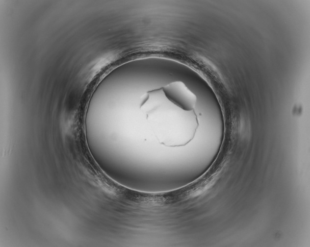 X0000090501210200707201539