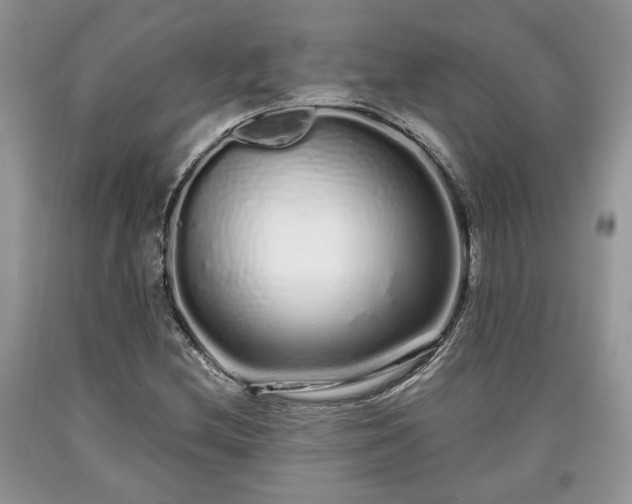 X0000090501212200707201539