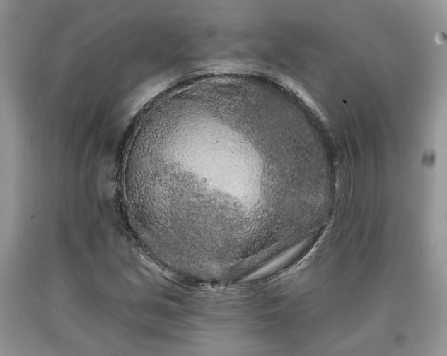 X0000090501213200707201539
