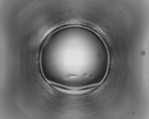 X0000090501216200707201539