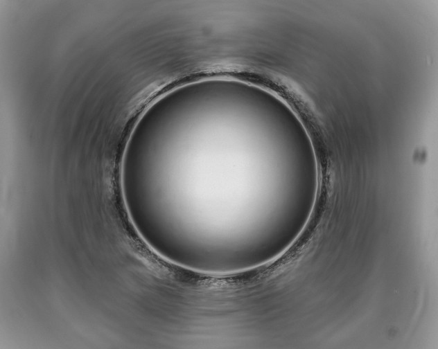 X0000090501217200707201539
