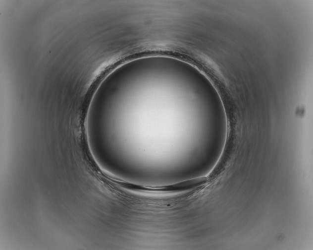 X0000090501218200707201539