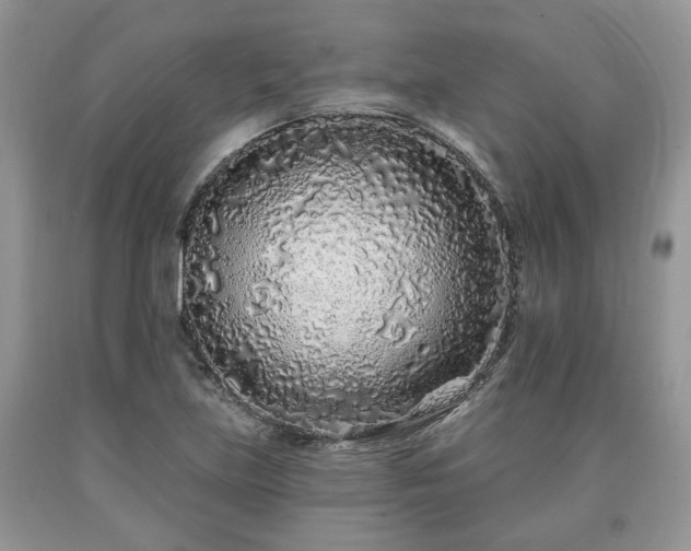 X0000090501219200707201539