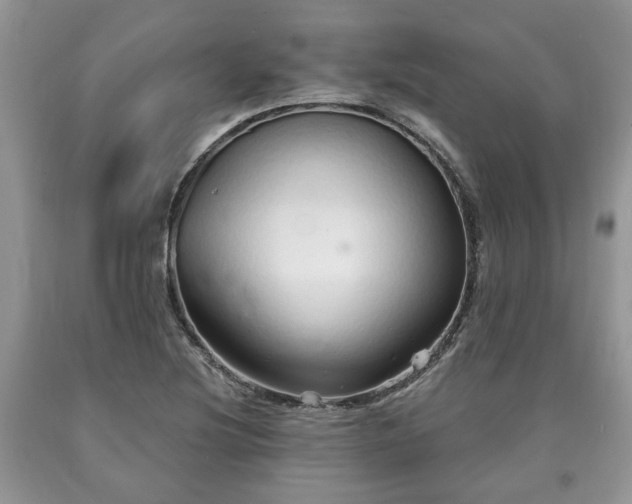 X0000090501220200707201539