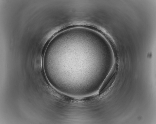 X0000090501221200707201539