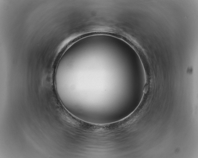 X0000090501222200707201539