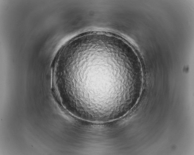 X0000090501223200707201539