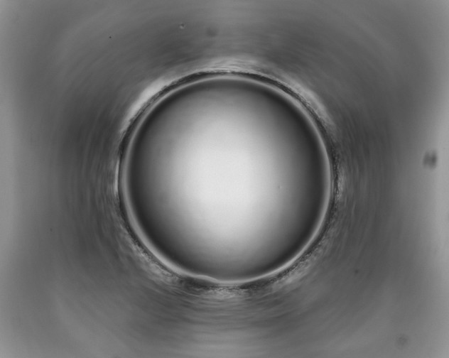X0000090501224200707201539