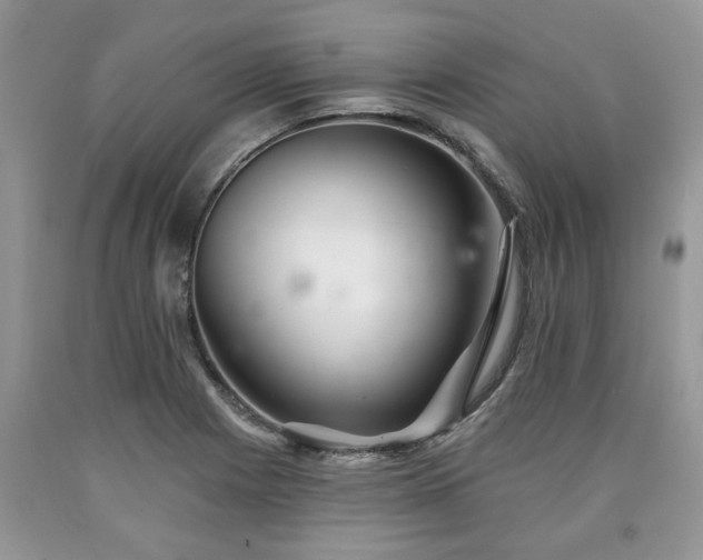 X0000090501225200707201539
