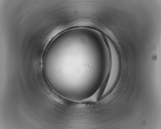 X0000090501226200707201539