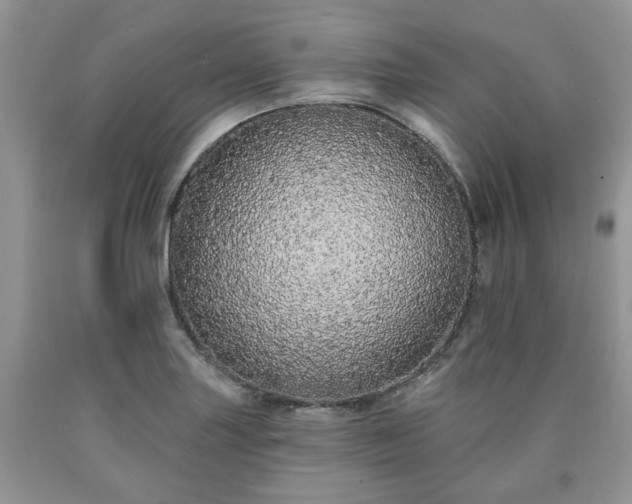 X0000090501227200707201539