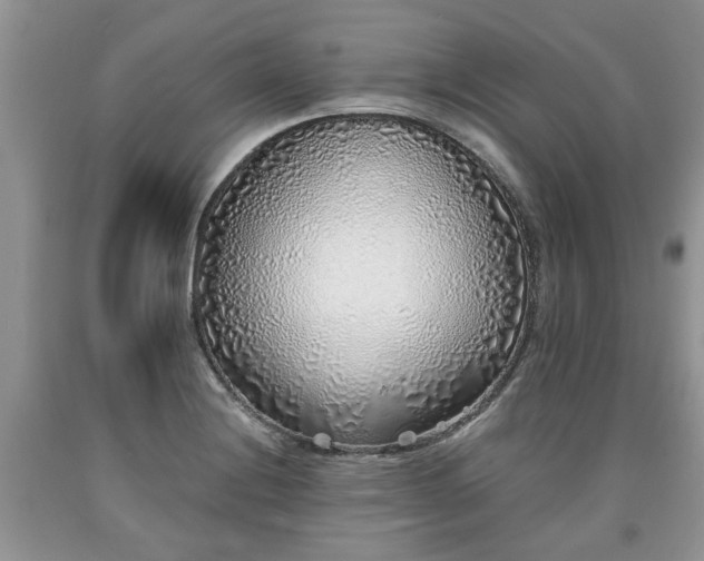 X0000090501228200707201539