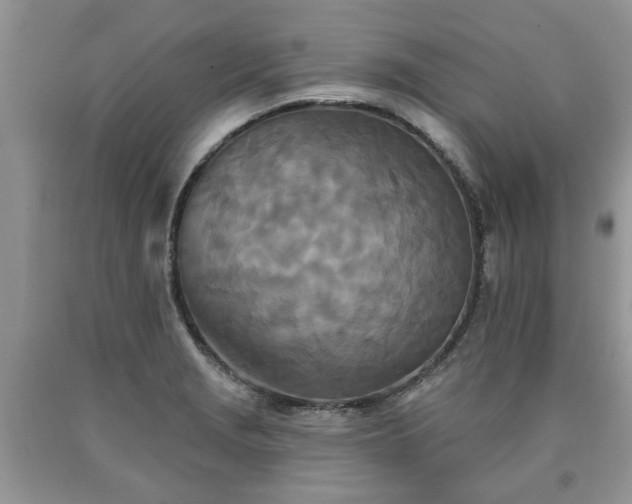 X0000090501229200707201539