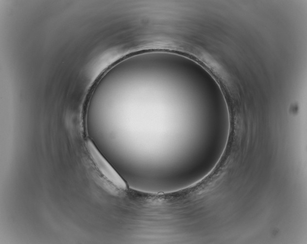 X0000090501230200707201539