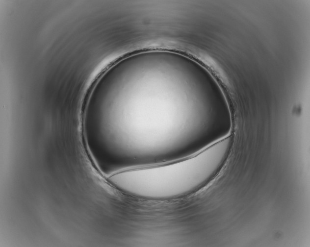 X0000090501232200707201539