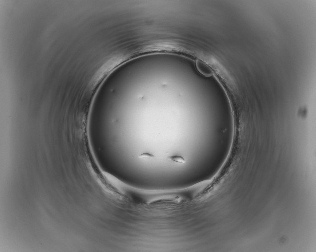X0000090501233200707201539