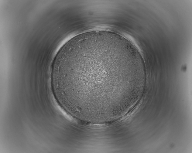 X0000090501235200707201539