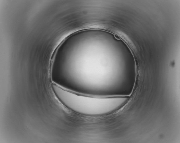 X0000090501236200707201539