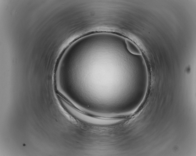 X0000090501237200707201540