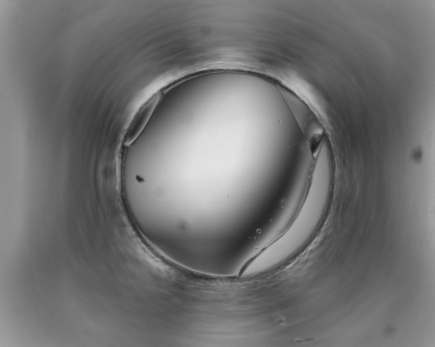 X0000090501238200707201540