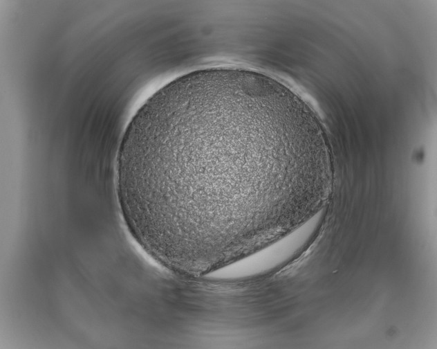 X0000090501239200707201540