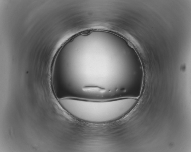 X0000090501240200707201540