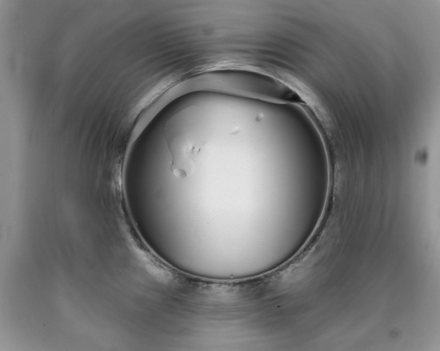 X0000090501241200707201540