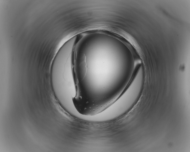 X0000090501242200707201540