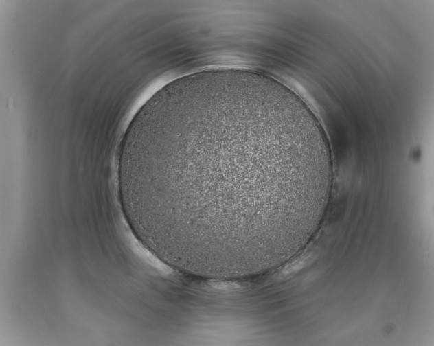 X0000090501243200707201540