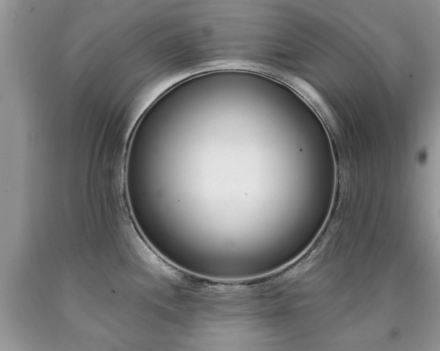 X0000090501244200707201540