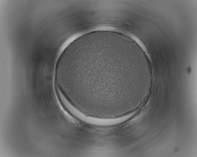 X0000090501245200707201540